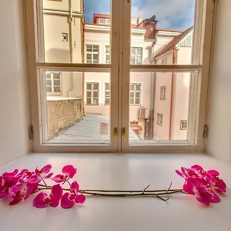 Luxury - Old Town Sauna Str * Tallinn