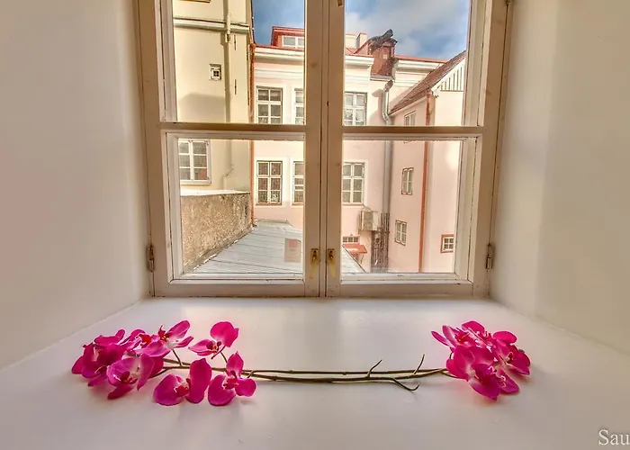 Luxury - Old Town Sauna Str * Tallinn